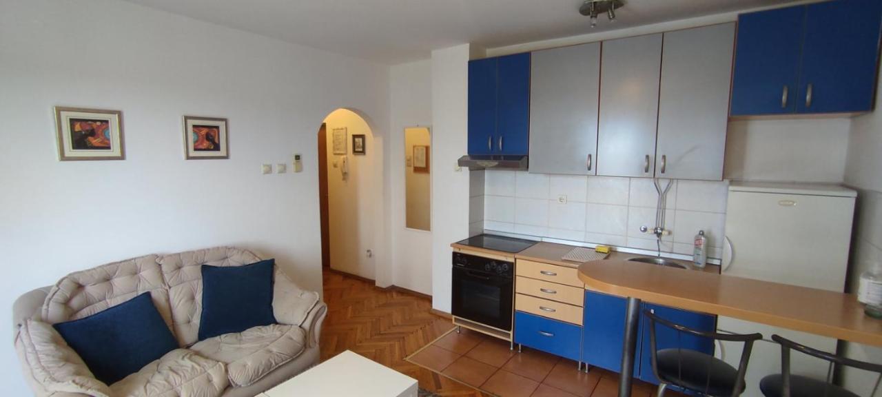 Jovana'S Apartment Νόβι Σαντ Εξωτερικό φωτογραφία